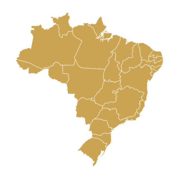 Mapa do Brasil com todos os estados